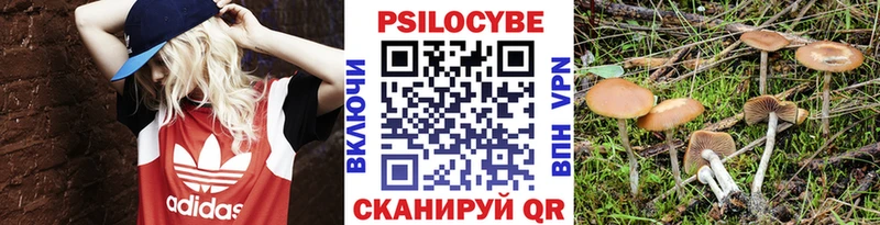 где купить наркоту  Воронеж  Псилоцибиновые грибы ЛСД 